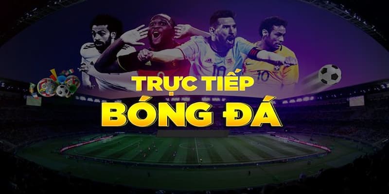 Kinh nghiệm chọn nền tảng cung cấp trực tiếp tỷ lệ kèo
